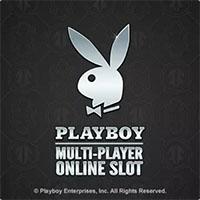 pp image